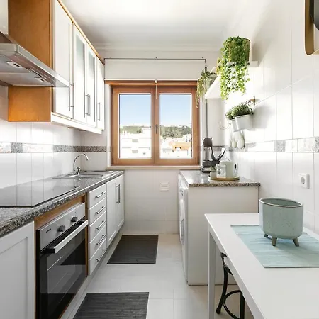 Modern Flat 아파트